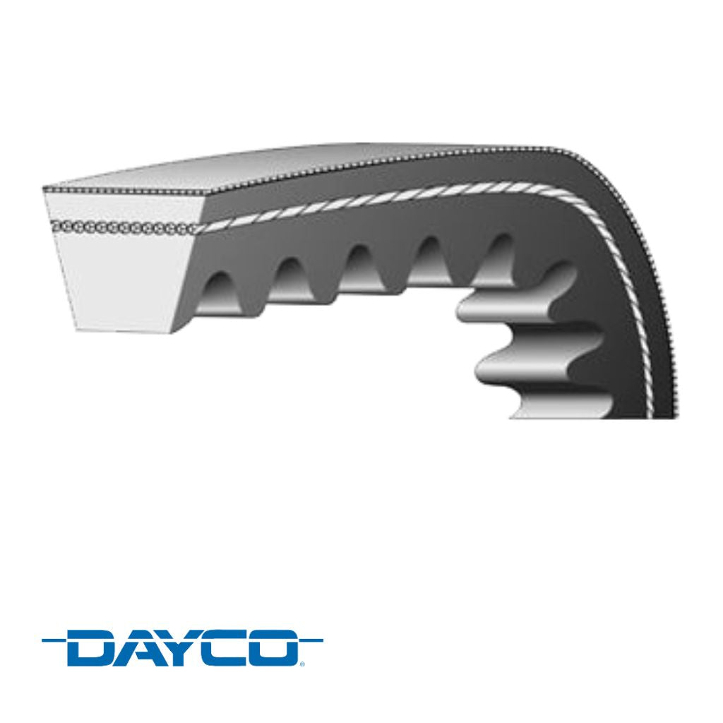 Banda V DAYCO para FREIGHTLINER 1995-2002 