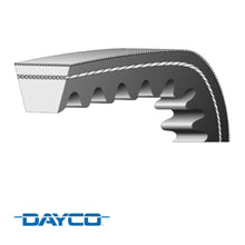 Banda V DAYCO para FREIGHTLINER 1996  2